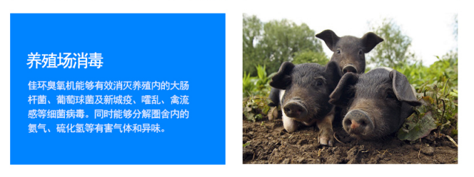 1636959606873439.png image.png