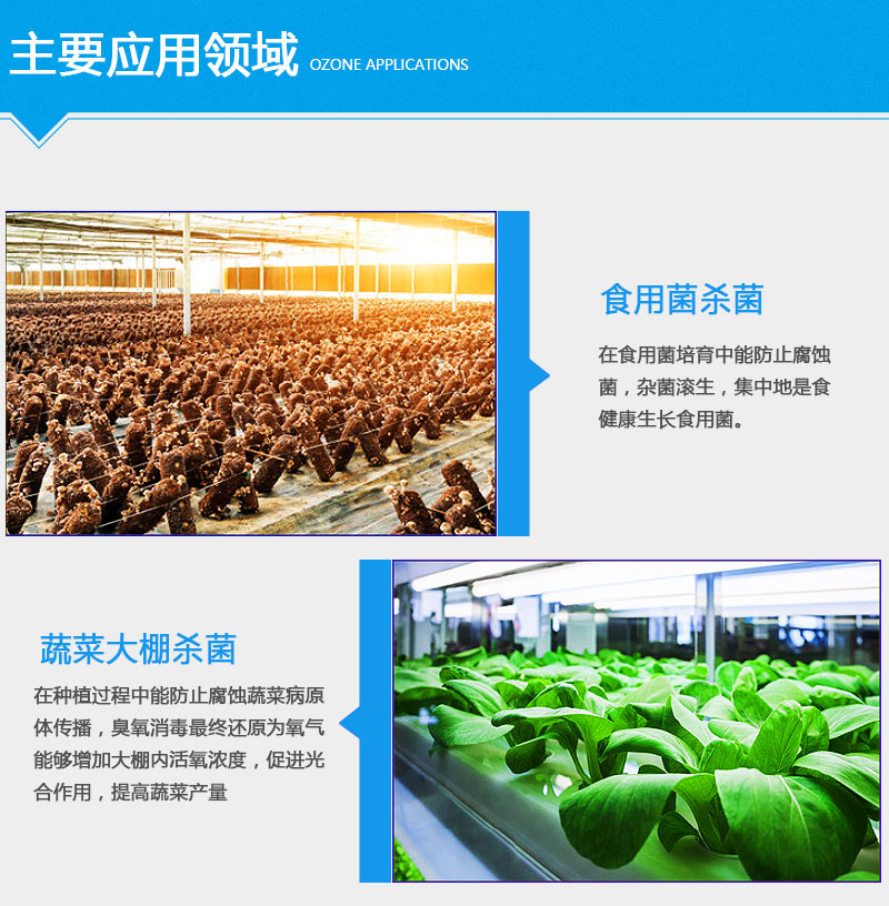 1637121069244199.png image.png