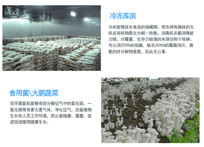 1645152614518121.png image.png